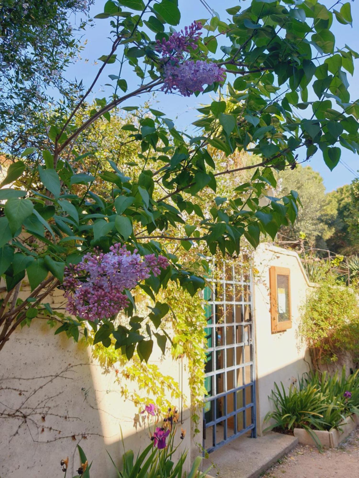 Hotel La Chamberte à Villeneuve-lès-Béziers Extérieur photo